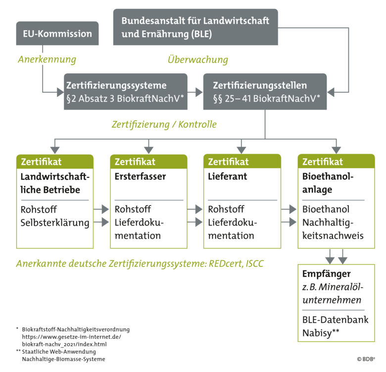 BDBe_Grafik_Nachhaltig_06_2023.jpg